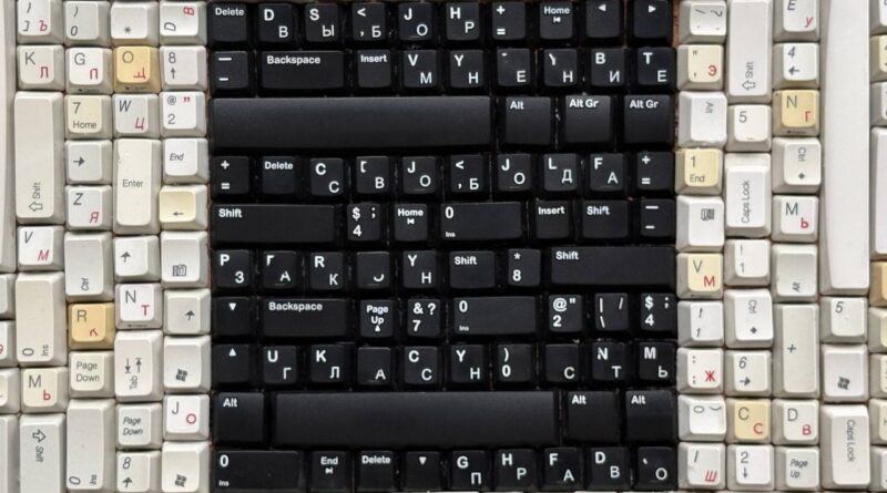 IMAGE 2026-02-24 15:21:13