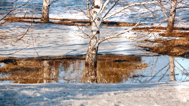 shutterstock_1918351343-640×427