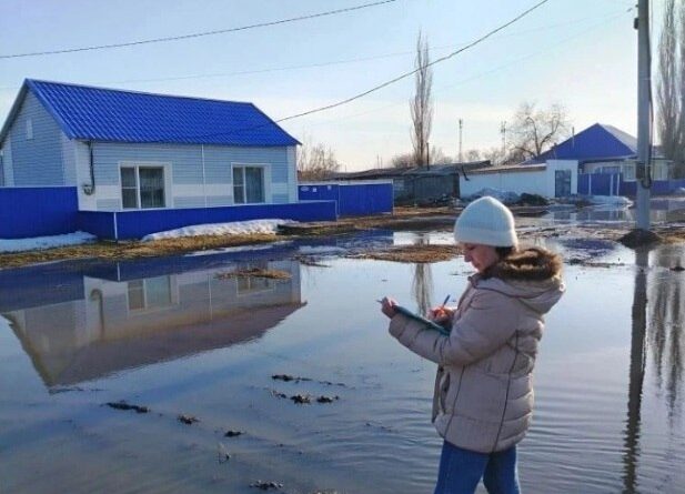 IMAGE 2026-04-01 13:43:41