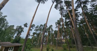 IMAGE 2026-06-04 17:36:51