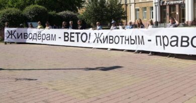 IMAGE 2026-06-24 21:57:48