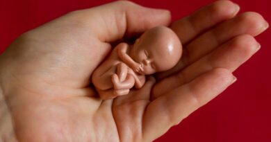 aborty