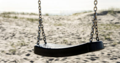beach-landscape-with-swing