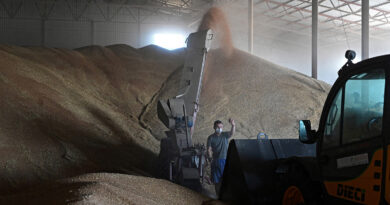 FILE PHOTO: Wheat harvest in Russia’s Rostov Region