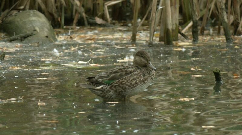 IMAGE 2026-10-12 13:29:59